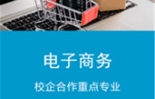 电子商务专业有缺点么
