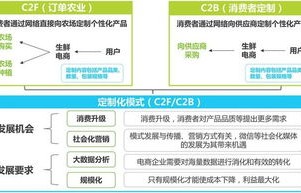 专业性电子商务是什么