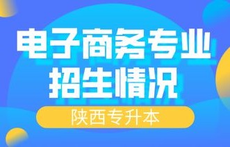 陕西省自考电子商务专业