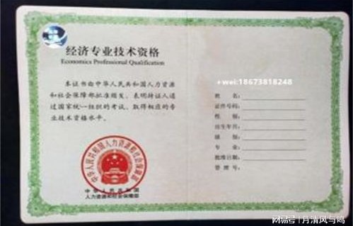 谁能考电子商务专业证呢