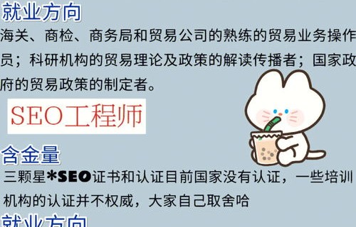 电子商务专业建议考的证
