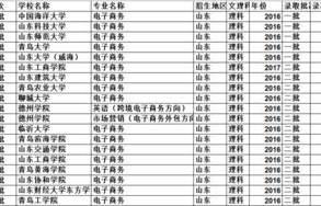 山东省电子商务专业排名