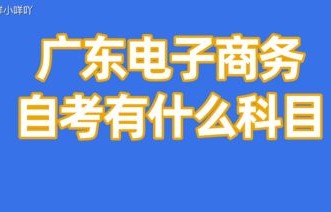 电子商务是不是理工专业
