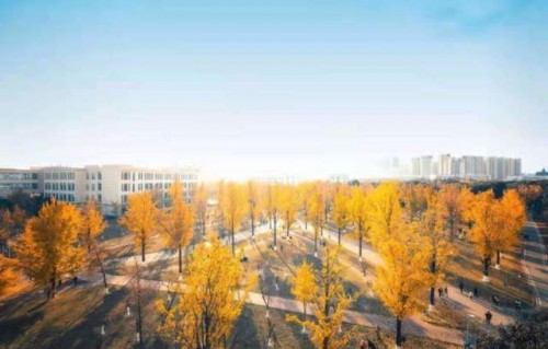 黑建筑有电子商务专业吗
