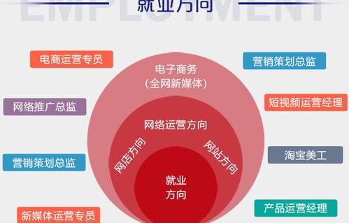 电子商务专业班就业方向