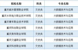 电子商务专业分为几大类