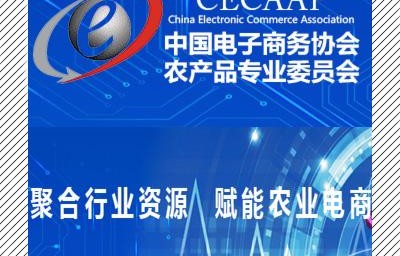 中国电子商务是啥专业