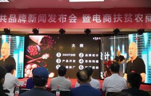 电子商务专业助农产品