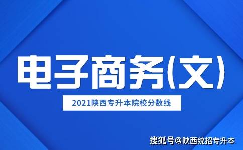 专升本专业课电子商务
