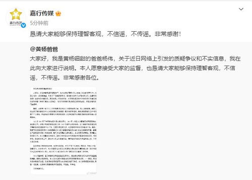 黄杨钿甜父亲面临法律处罚的深度解析
