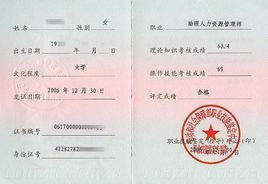 电子商务专业能考什么证