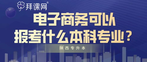 适合电子商务升本的专业