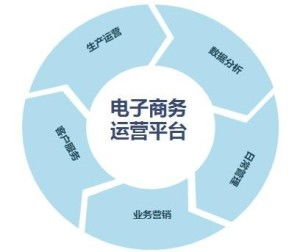 电子商务方面的专业技能