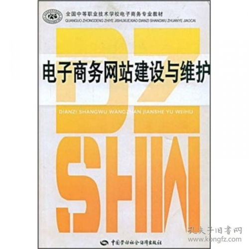电子商务大二学啥专业