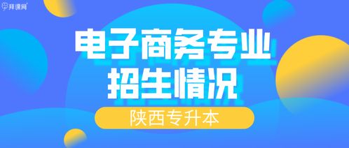 陕西省自考电子商务专业