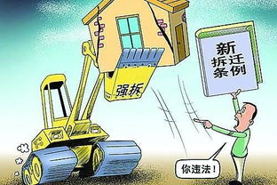 蜂蜜厂遭强拆 法院判区政府赔偿24万