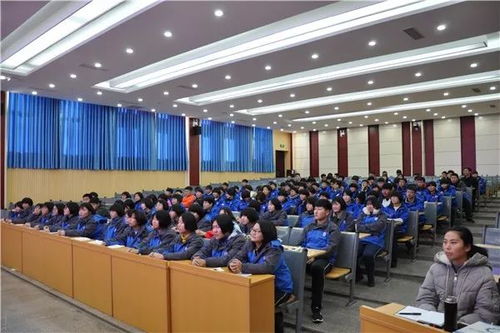 电子商务专业进电视台