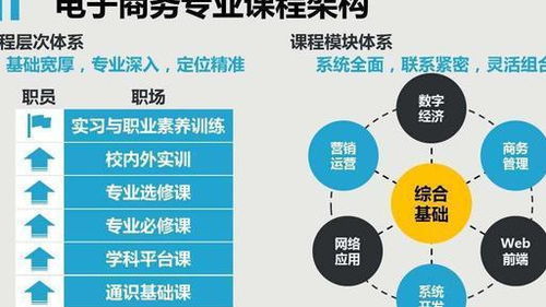 中专电子商务专业难学吗