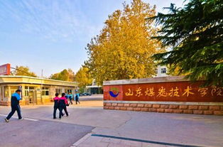 山东电子商务专业大学有哪些